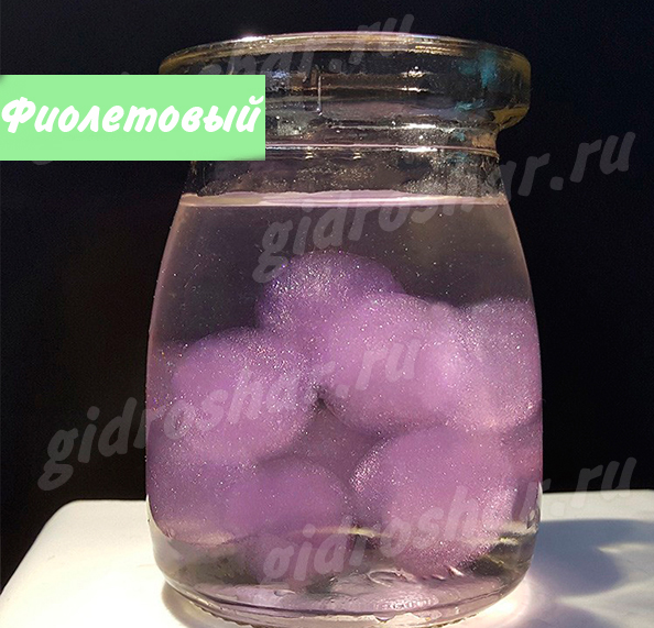 Большие Фиолетовые Орбиз с блеском 3,5-4 см