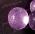 Шарики "Orbeez" (Орбиз) перламутровые фиолетовые 35-40 мм, 1 шт